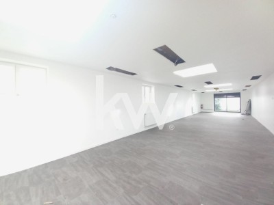 IMMEUBLE MIXTE : BUREAU ET HABITATION A VENDRE - LOOS - 210 m2 - 297000€
